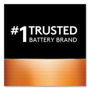 Power Boost CopperTop Alkaline AA Batteries, 10/Pack
